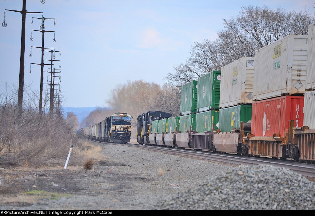 NS 11K
